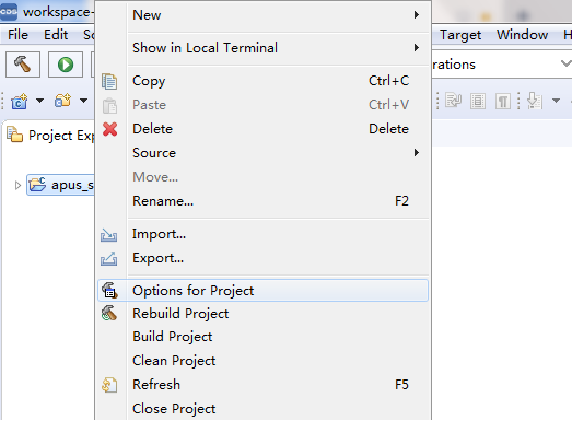 cds_option.png
